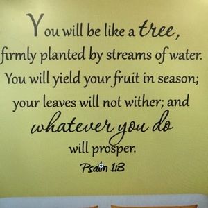 Steve Madden size 7 platform heels with extra sparkles